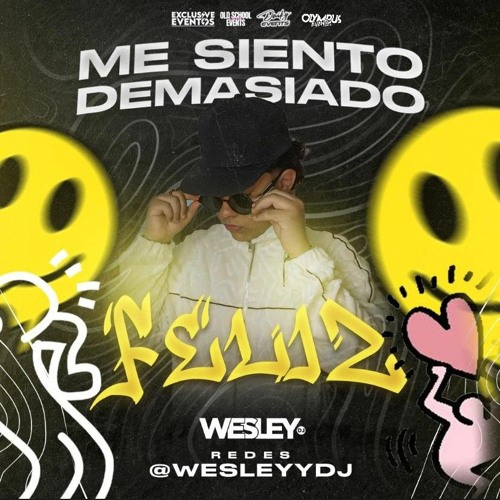 ME SIENTO DEMASIADO FELIZ (EDICION PERREITO) WESLEYDJ