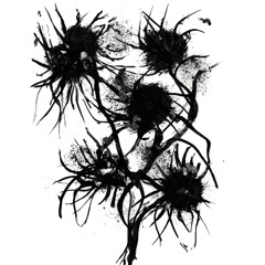 To the last of imaginary solutions