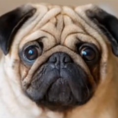 Минимум раз головач лена