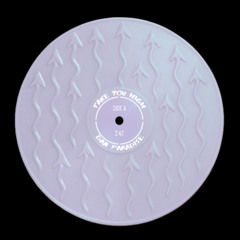 PREMIERE: Dan Paradise - Take You High