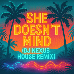 She Dosen't Mind Remix