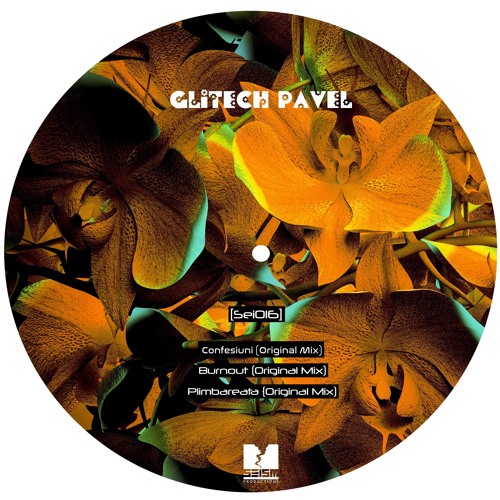 Glitech Pavel - Plimbareata (Original Mix) Master 16bits