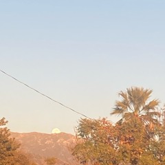 Let’s Go Out & Take A Ride