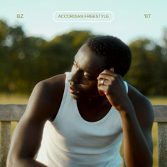 BZ - ACCORDION FREESTYLE.mp3
