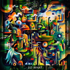 Premiere : Ka:lu & Mula - So What [The Magic Sun]