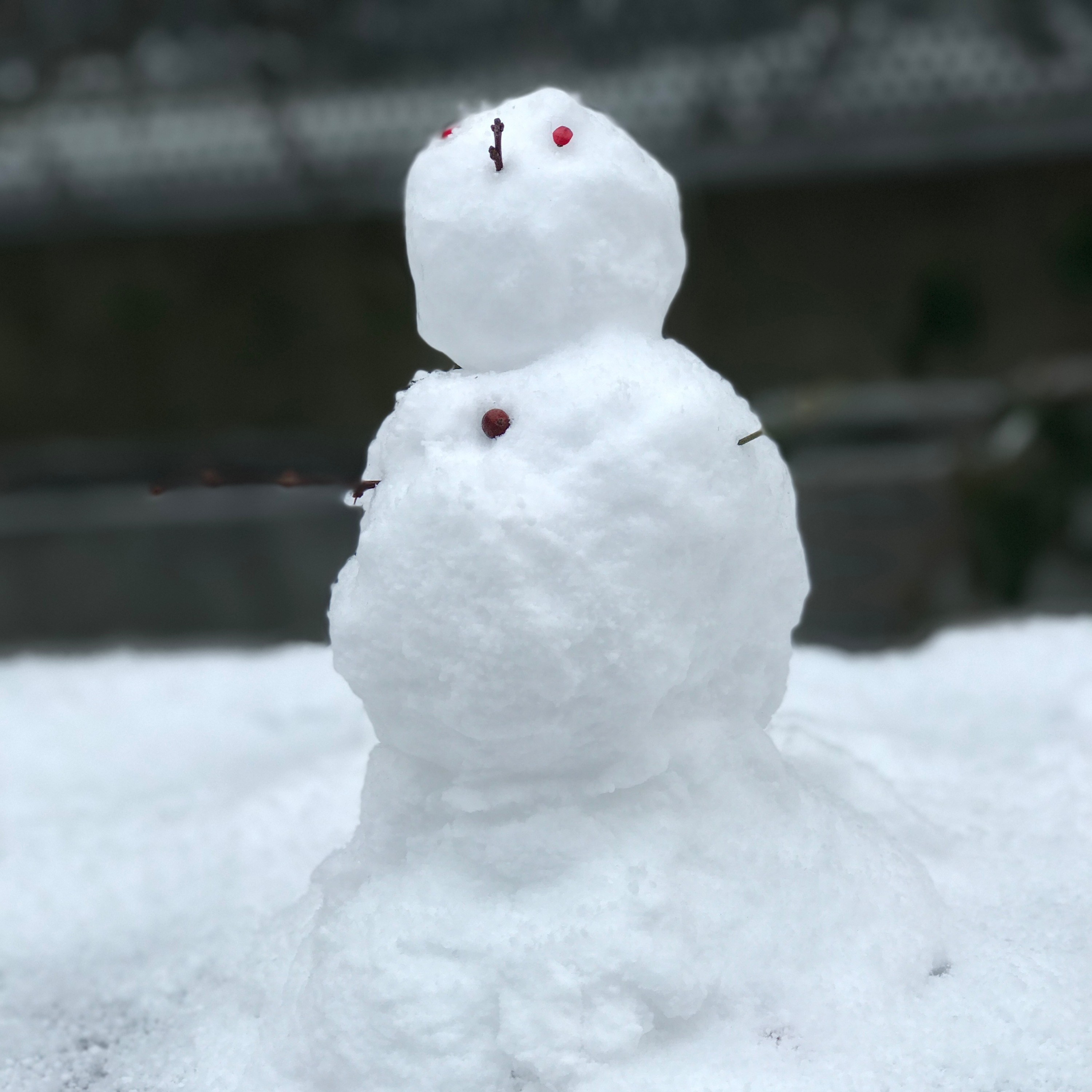 Snow episode artwork