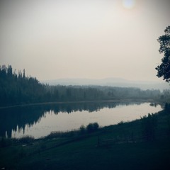 If Wishes Were Horses