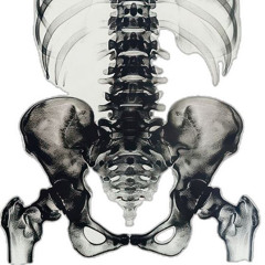 science (p @onlybnkrpt / rioxion)