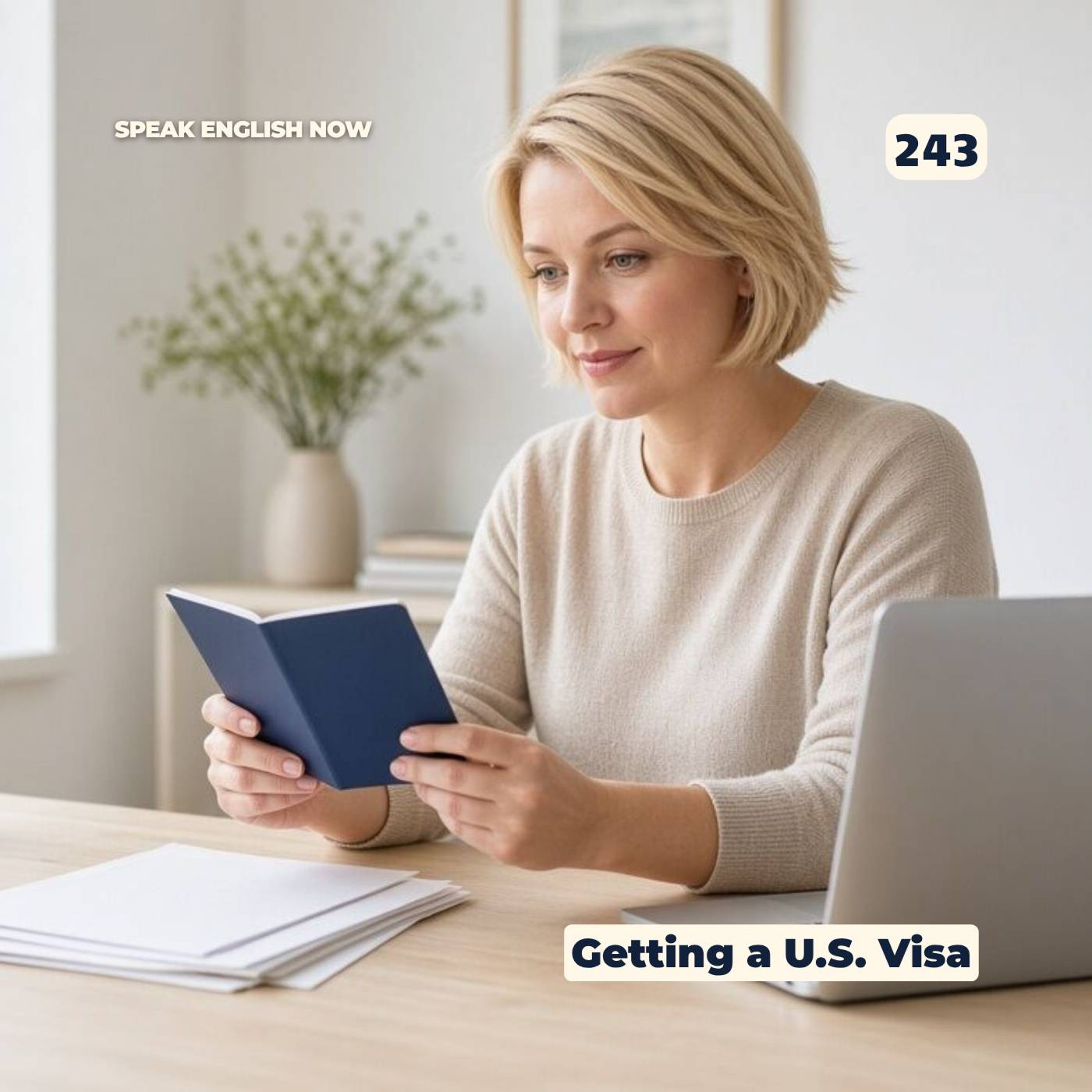 #243 How to get a visa to enter the US? episode artwork