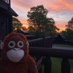 17 : 23 - lover x dt