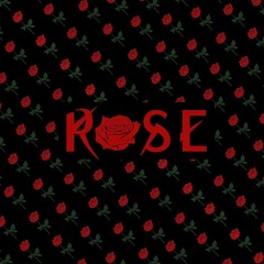 ROSE Stop and Smell the Roses mix 1
