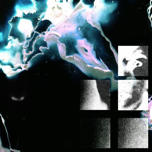 Fair Bloom (Music Video in Description)