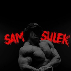 Sam Sulek - "I'd Rather Go Too Far Than Not Go Far Enough"