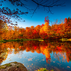 Autumn tape X JULIEN.F