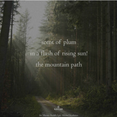 NaviarHaiku602_the mountain path