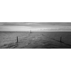 Escape Road - MrBlue