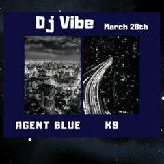 Dj Vibe Agent Blue Vs K9