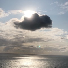 the wind that blows