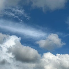 Windy
