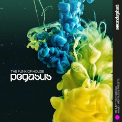 PEGASUS - The Funk Of House (House Demo Song)