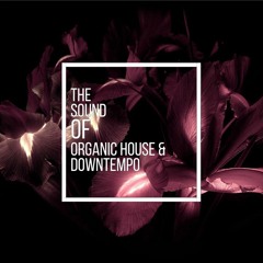 The Sound Of Organic House & Downtempo Vol.6  Mixed By Kurt Kjergaard