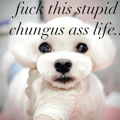 i feel so dumb trying to get you to like me but im gonna keep trying :(
