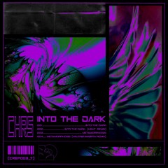 CHRS - Into The Dark (DJ Saunameister Light Remix) [CREP003_T]