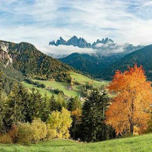 تلاوة فضيلة  الشيخ محمد صديق المنشاوي  مؤثر 💚