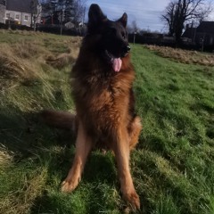 Oldskool Trance n Hard Trance