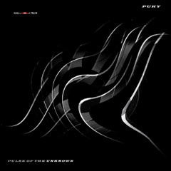 Puky - Signals From Earth (Original Mix)