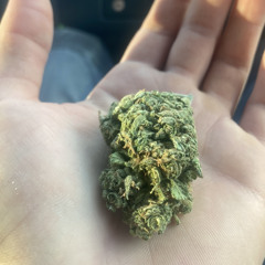 Buds ‘n Tiddies Demo