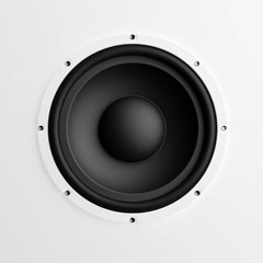 NOISE DOWNLIFTER