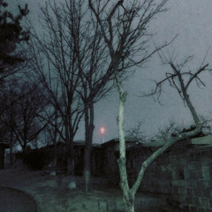 Cxnsumed Cxrpses (Prod. Blunt Christ)