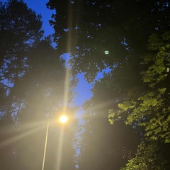 寂しいです