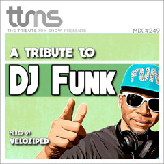 #249 - A Tribute To DJ Funk - mixed by Veloziped