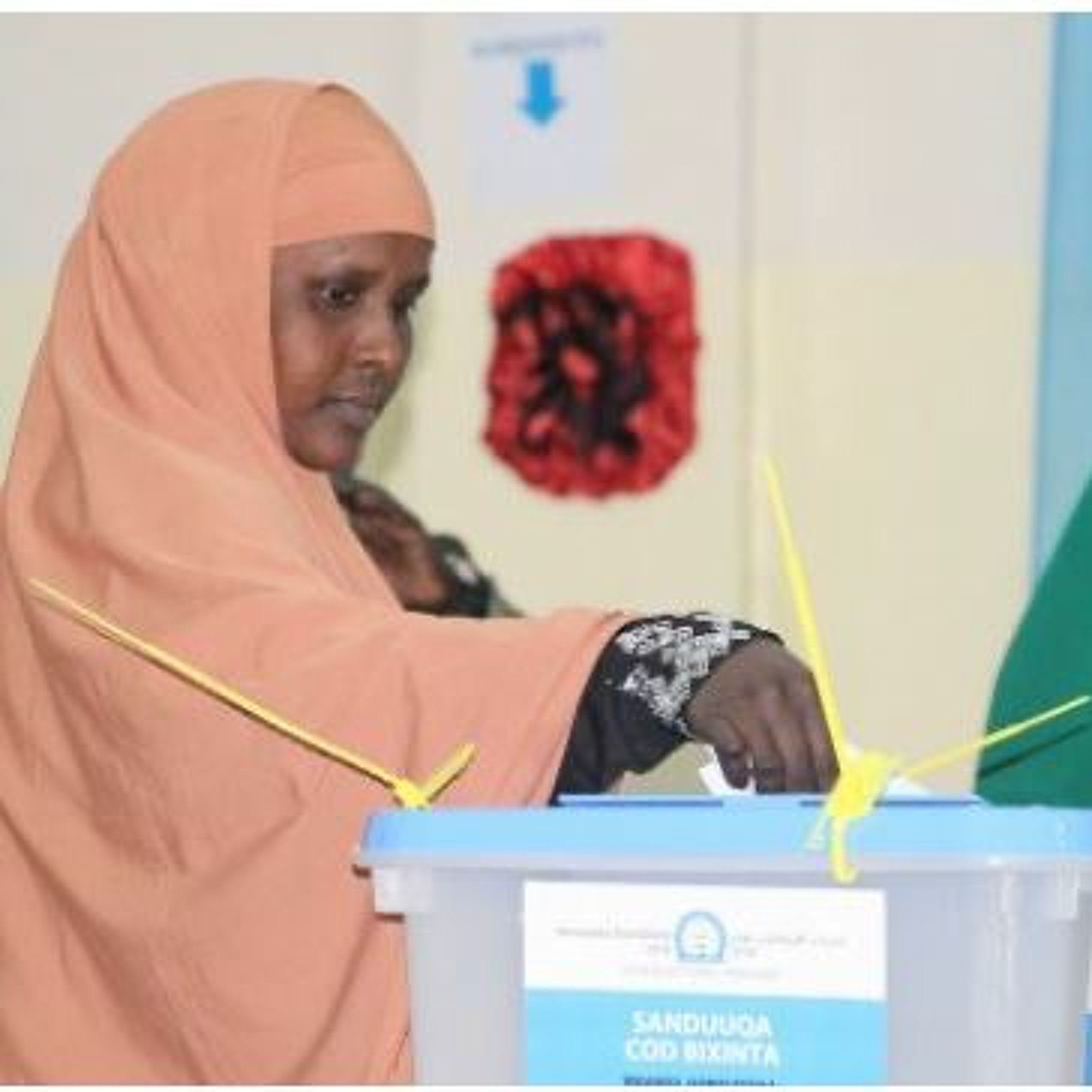 Inside Somalia's Elections I episode artwork