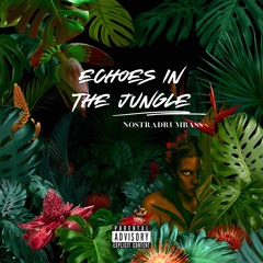 Echoes In The Jungle - Nostradrumbass