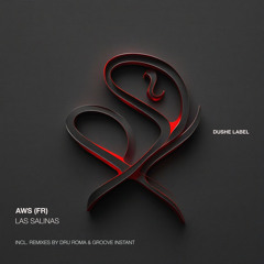 Las salinas (Dru Roma Remix)