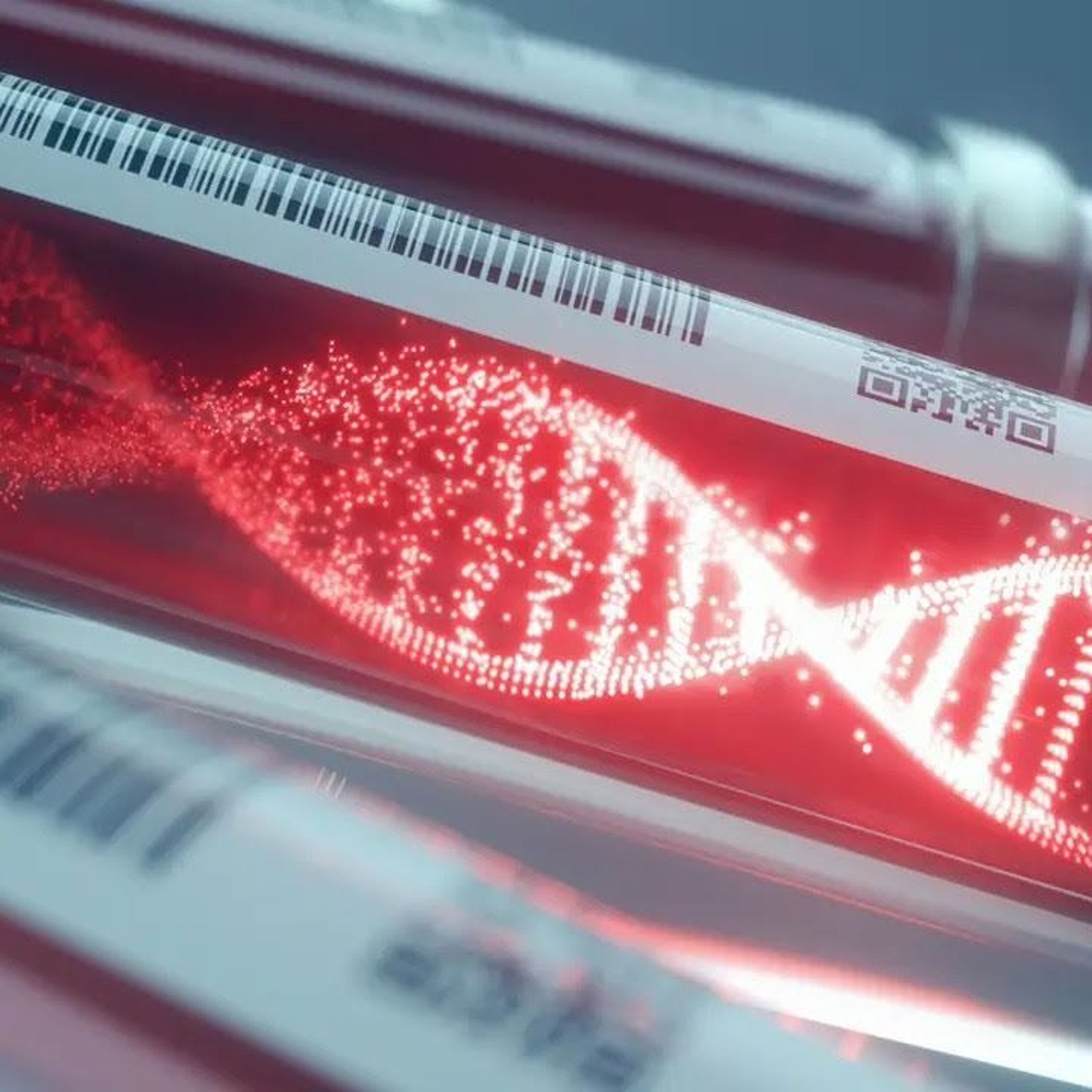 [PROPHECY] "THE BLOOD DRAW" AND "PASTOR OMAR THIBEAUX" - JULY 22, 2024