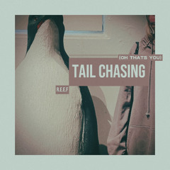 Tail Chasing (oh thats you)