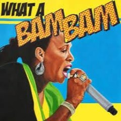 Fire At Will 'Bam Bam  Bootleg (free download)
