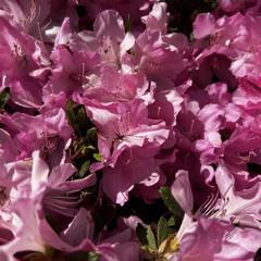 relentless g minor 162 v4