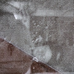 Der melodische Lachs @Soliparty_ORH