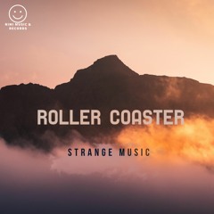 Roller Coaster (original mix )