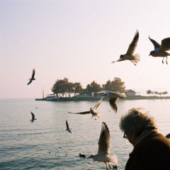 MEET/MISS YOU