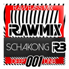 RAWMIX001 - mixed by SCHAKONG