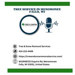 stump-grinding-cost-menomonee-falls-wi