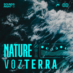 Ocean Sounds in Chocó