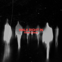 Fionn Curran - Walk Right In