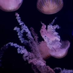 Ingydar — Adrianne Lenker — Slowed